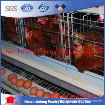 Poultry Layers Chicken Cage